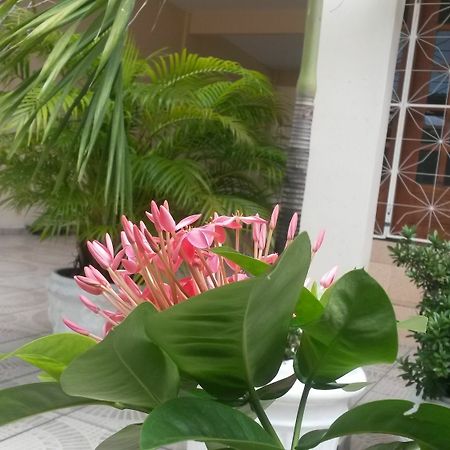 Each Hostel Da Amazonia ماناوس المظهر الخارجي الصورة